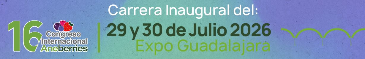 Banner Evento